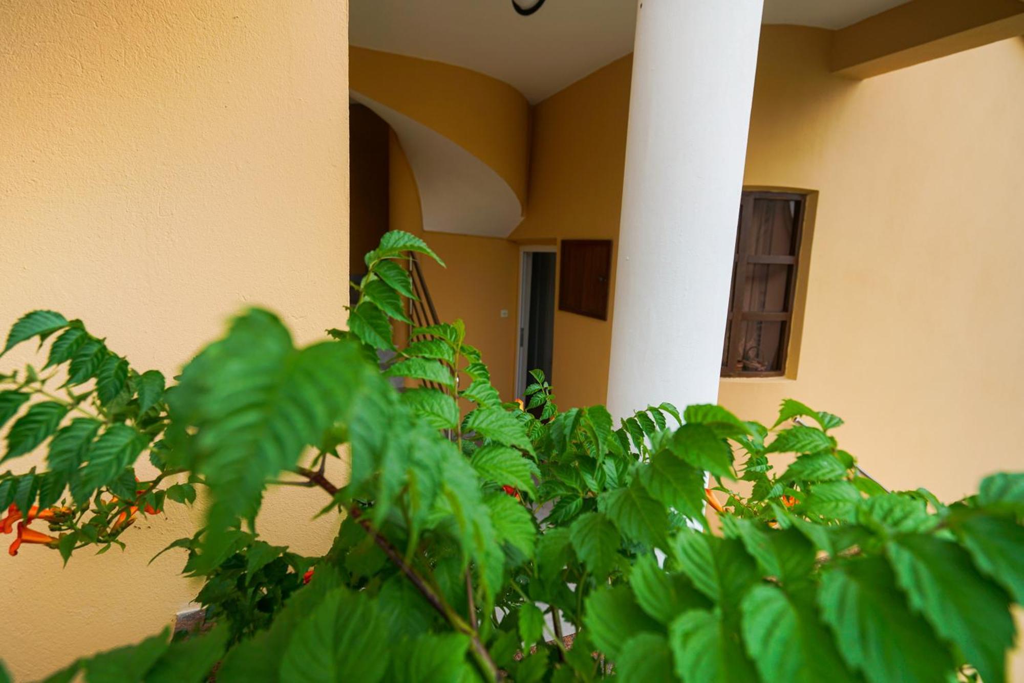 Apartments Osljak Preko Esterno foto